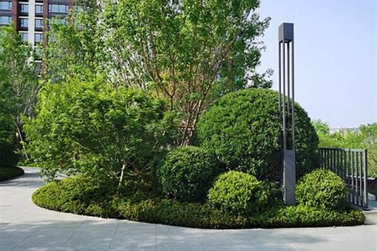 沈阳植物园的环保工作做得怎么样？
