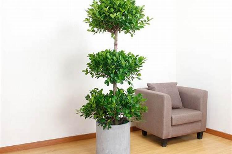 沈阳那些公司能提供测土配肥一体化服务