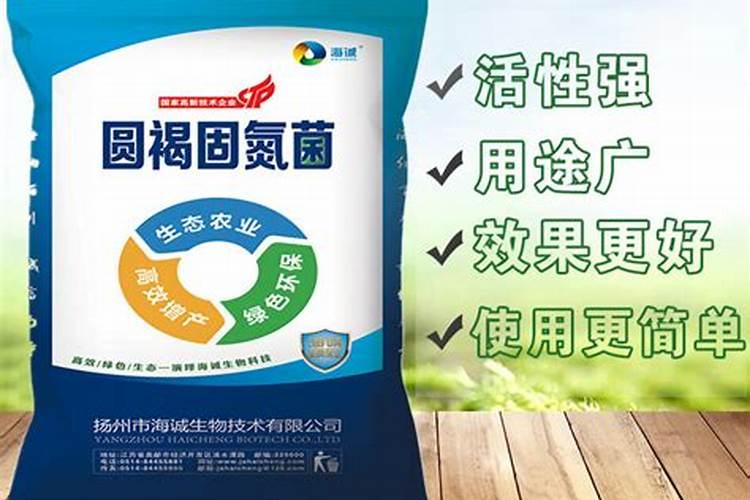 玉米高产施肥技术要点