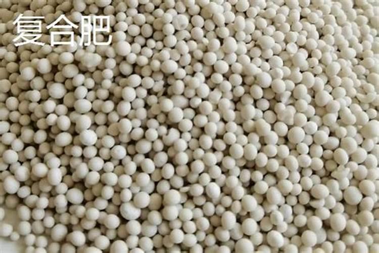氮肥和磷肥怎么区分