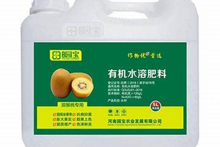 耐阴的多肉植物品种
