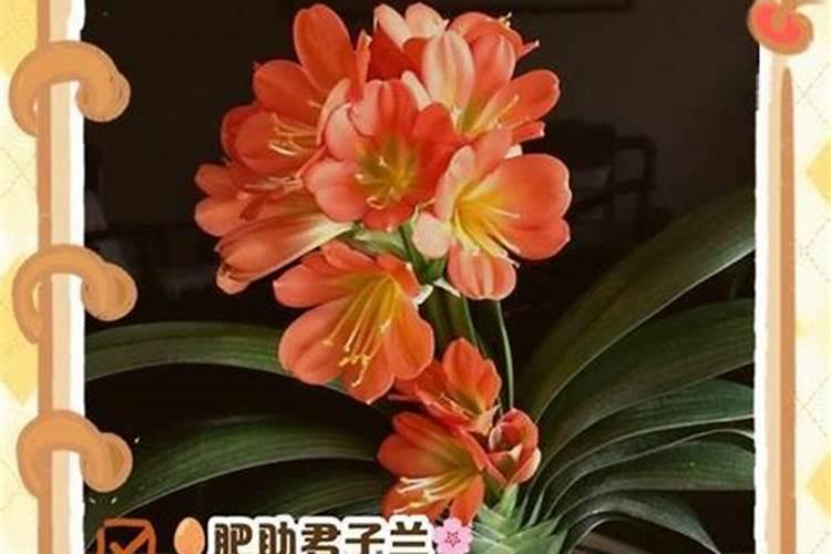 怎样区分氮肥和磷肥和钾肥