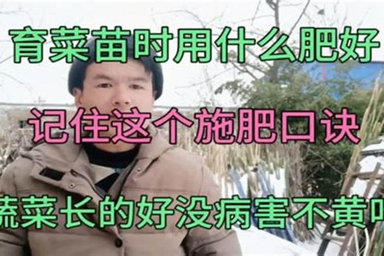 鱼塘漏水怎么办