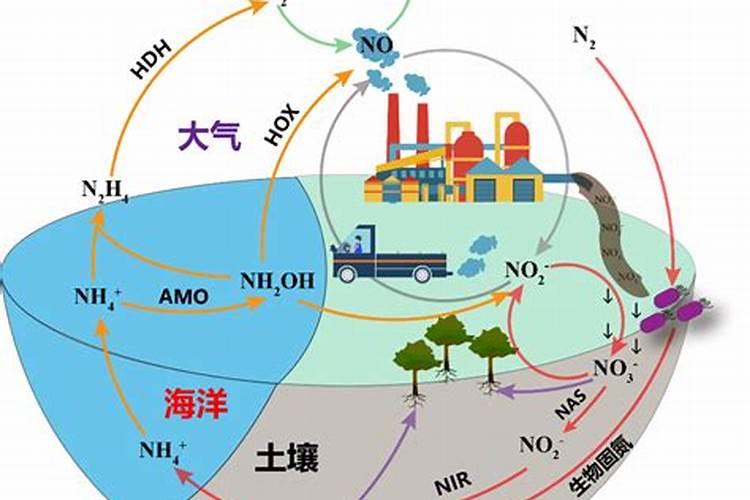铵态氮是什么肥料