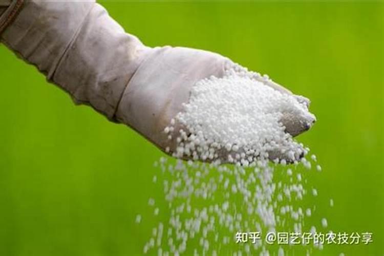 什么是生理酸性,生理碱性