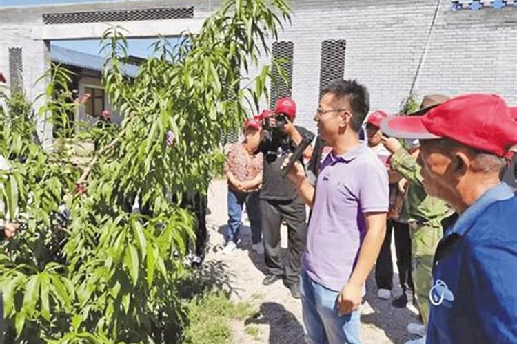 氨基酸生物有机肥多少钱一公斤