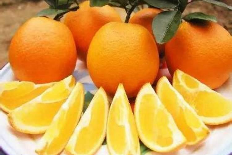橙树施肥种植方法