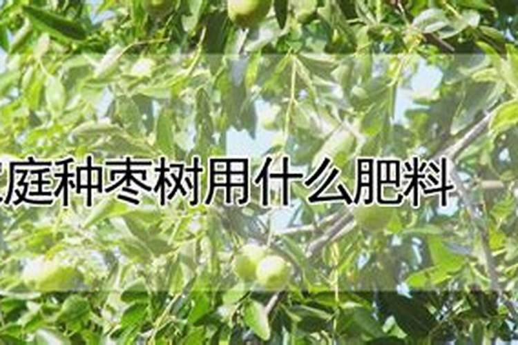 长春花下雨天腐烂了喷什么药水可以防止腐烂？