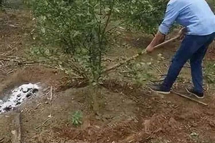 种花生一亩地上多少复合肥