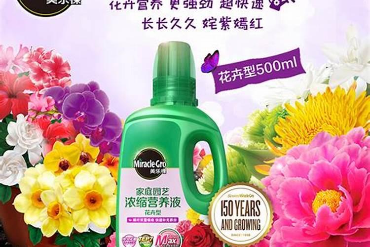 十大公认最好的花肥