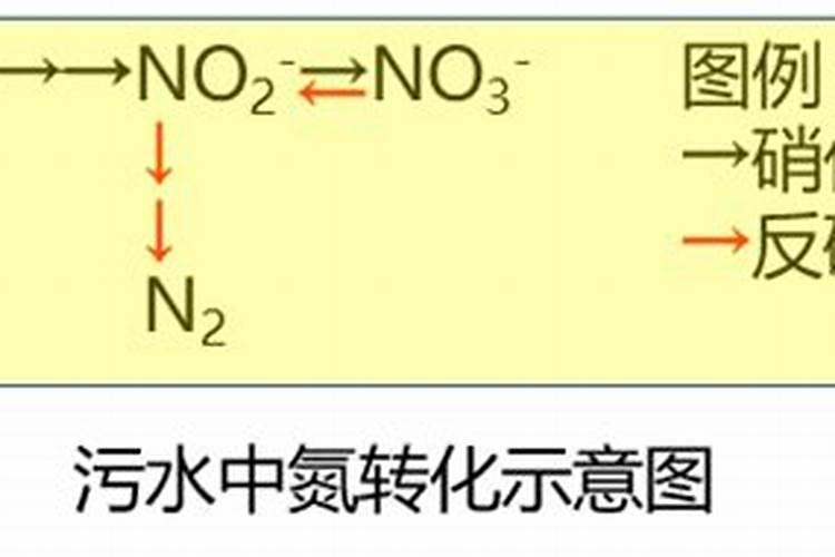 降亚硝酸盐最有效的方法