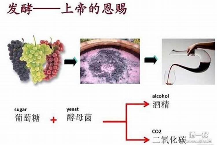 葡萄发芽期施什么肥