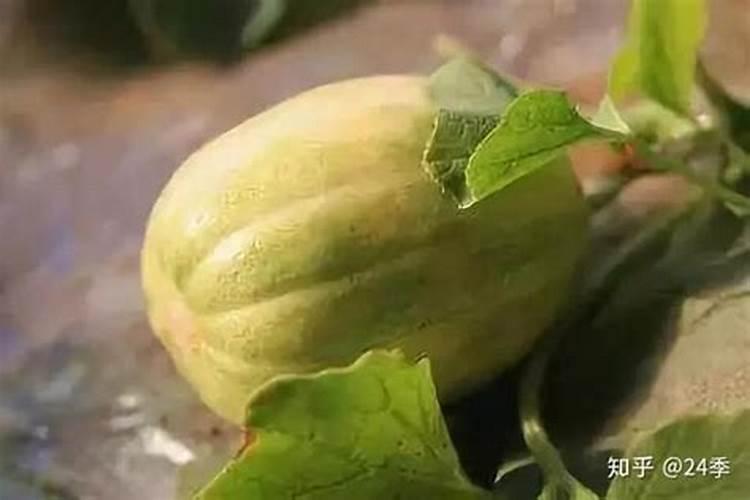 种牧草一亩地多少肥料