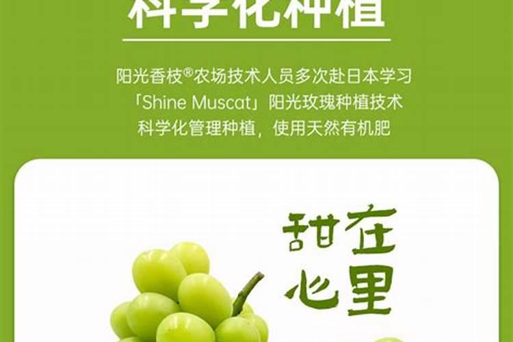 鳌合钙和螯合钙的区别
