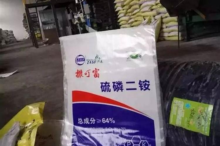 茉莉盆栽的养殖方法和注意事项