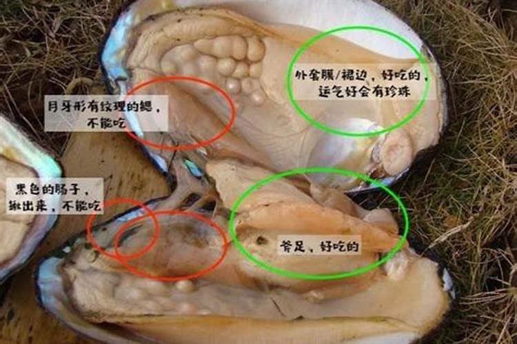 新栽树苗怎样生根快