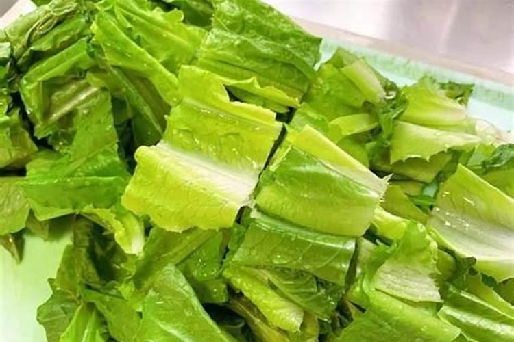 西生菜是什么菜