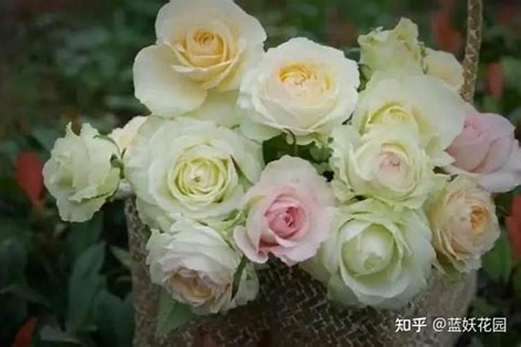 黄腐酸钾多少钱