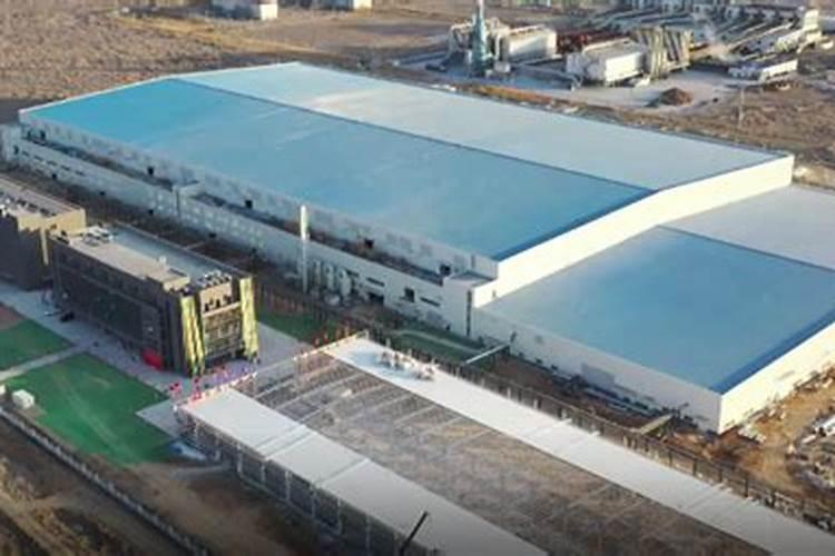 硅肥什么牌子最好