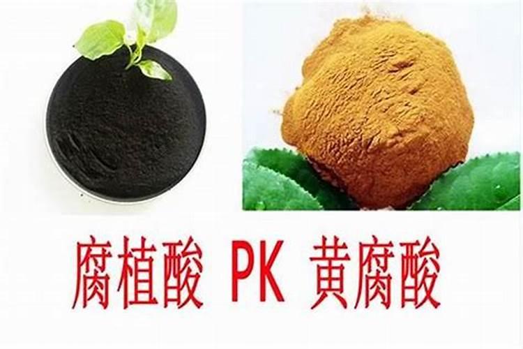 中毒性肾病是什么