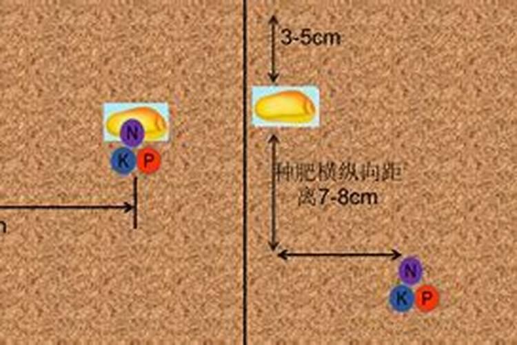 养花黄豆消除臭味的方法