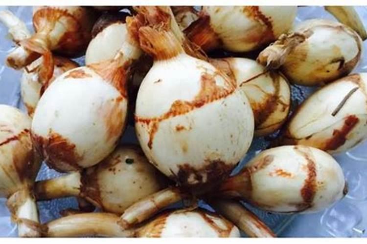 盐碱地种水稻用硅肥好吗