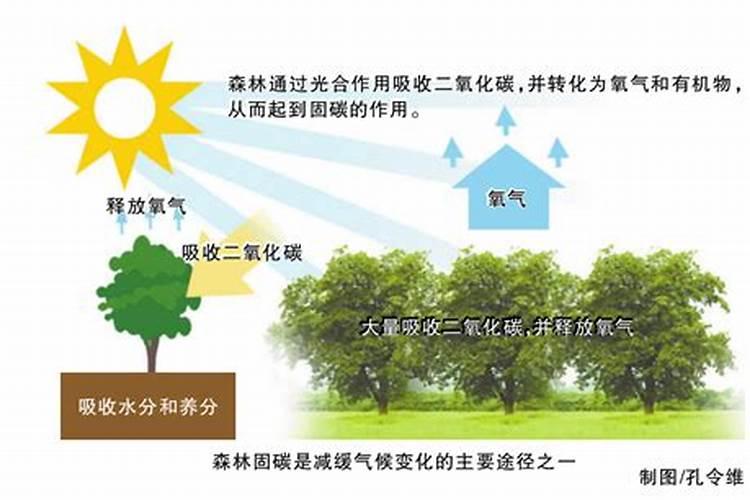 颗粒硼肥的作用及施用方法