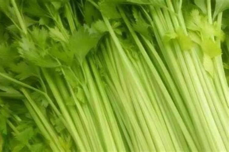 磷钾肥是什么肥