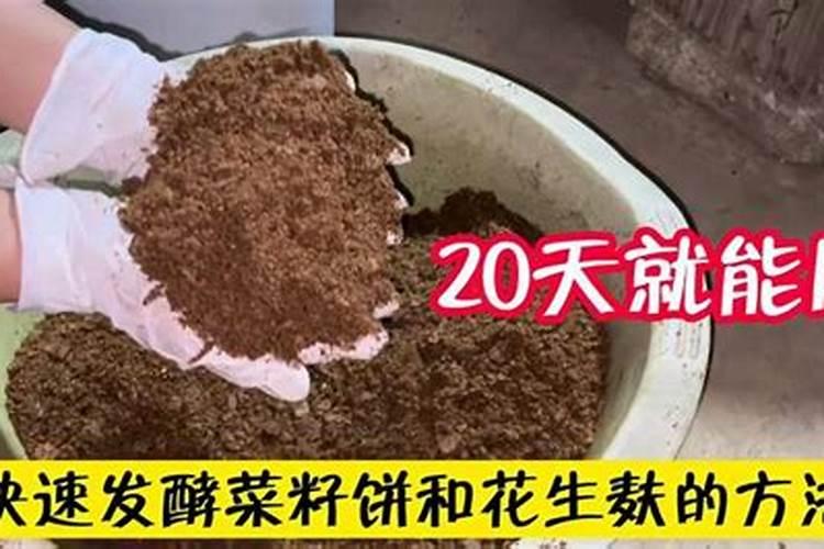 西葫芦开花期如何施肥
