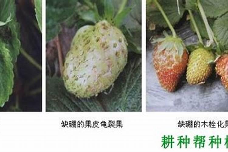 硫酸铵怎么检测？