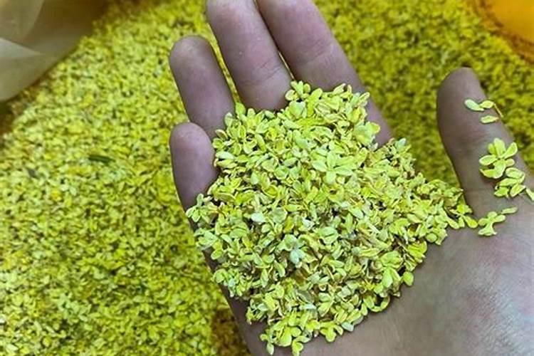 桂花用什么肥料最好最旺？