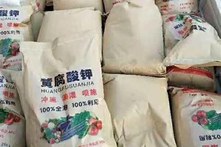 玉米花期可以冲施黄腐酸钾吗？