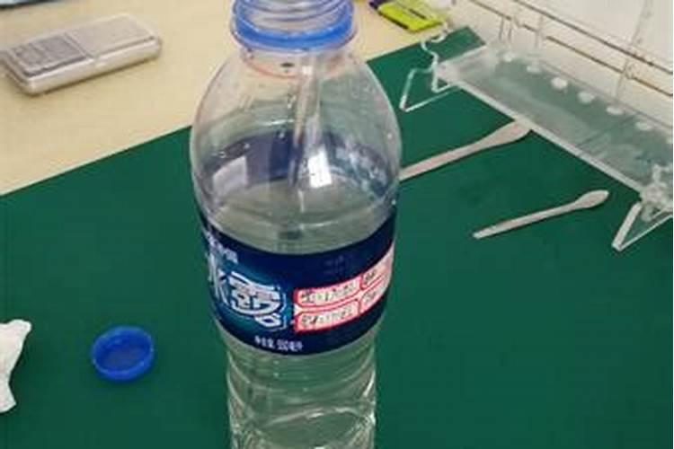 长寿冠海棠花的养殖方法和注意事项(盆栽长寿冠海棠花的养护)