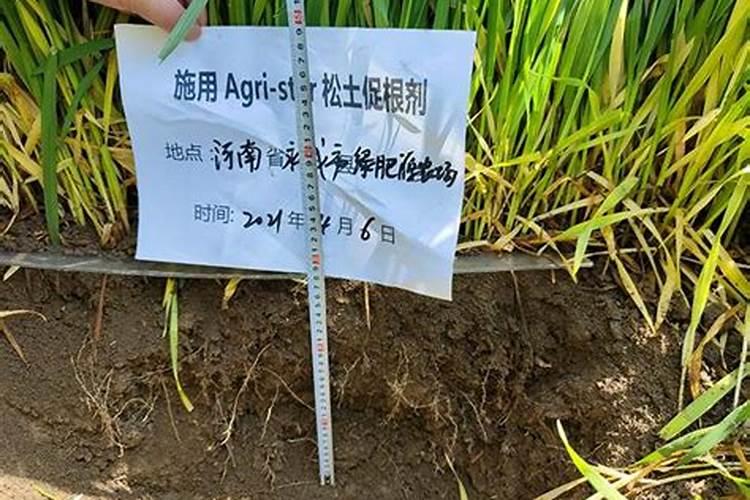 农业上如何改良酸性土壤呢
