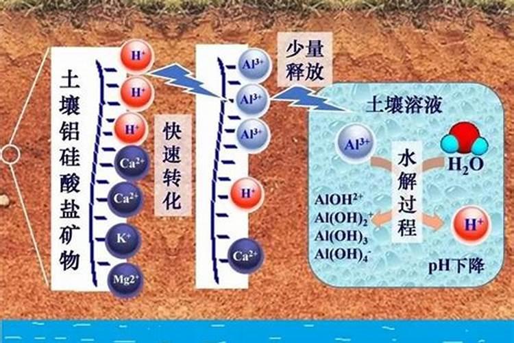 高锰酸钾消毒土壤多久才可播种 高锰酸钾消毒土壤几天后能种植？