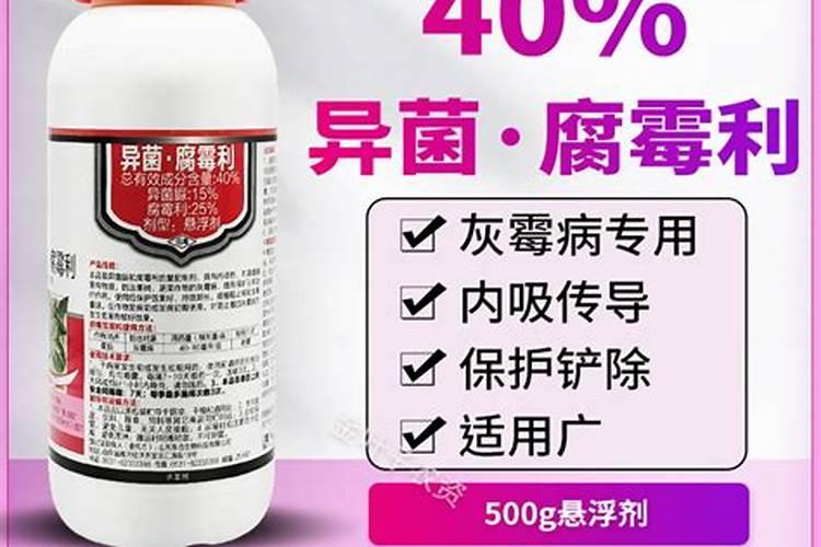 黑法师抹头后如何施肥生长旺盛