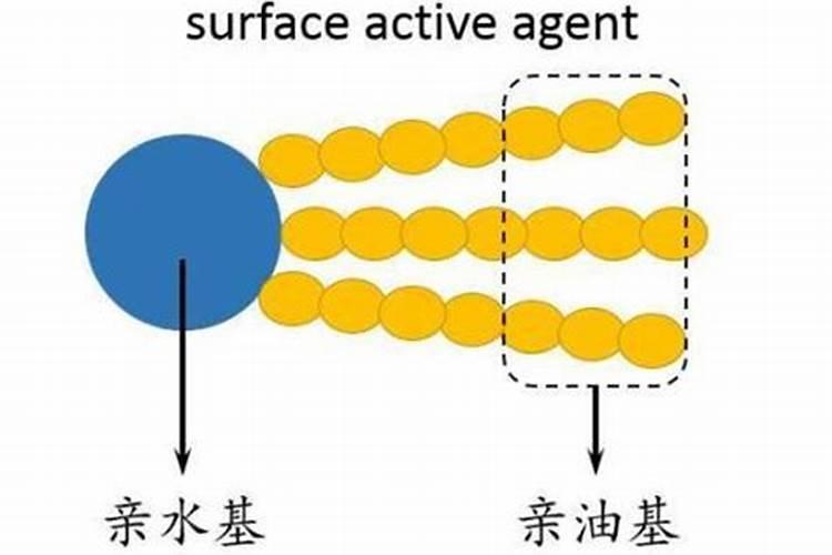 海藻肥是什么肥？了解海藻肥的作用