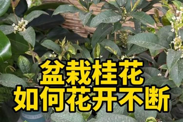 怎样进行苹果的肥水管理呢