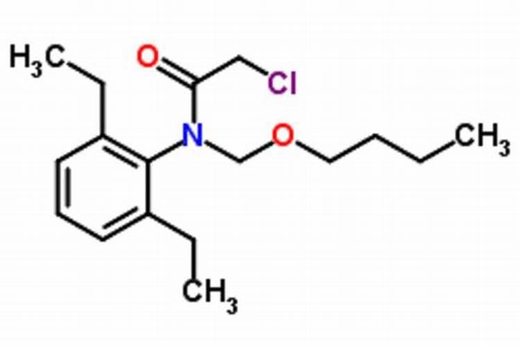 什么叶面肥能抑制植物生长