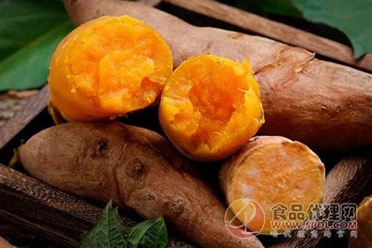 大棚葡萄开花怎样授粉