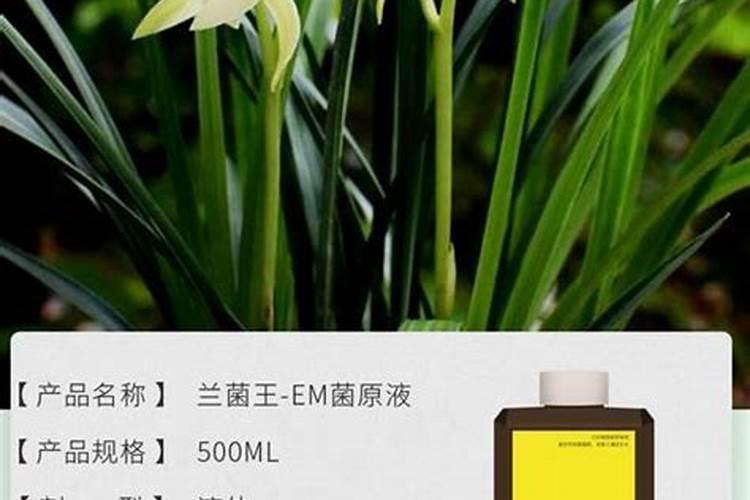 腐植酸肥料的作用和使用方法,腐植酸是什么东西