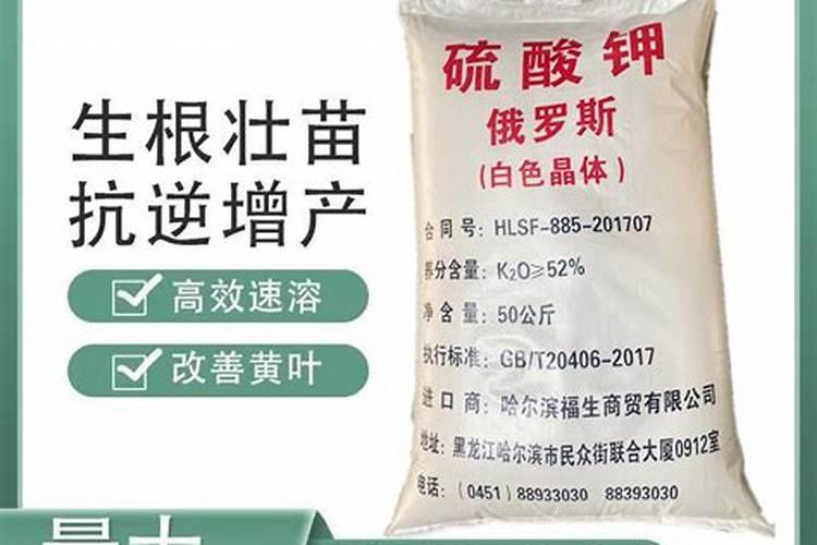 大葱地里用什么除草剂