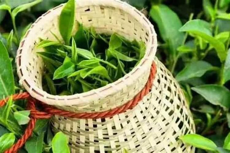 如何给花生追施钙肥？