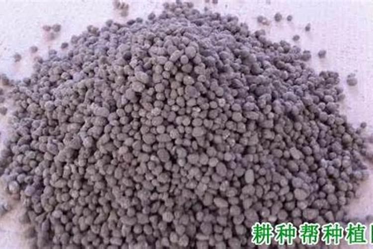 草莓果期有多久 果期养护与管理方法