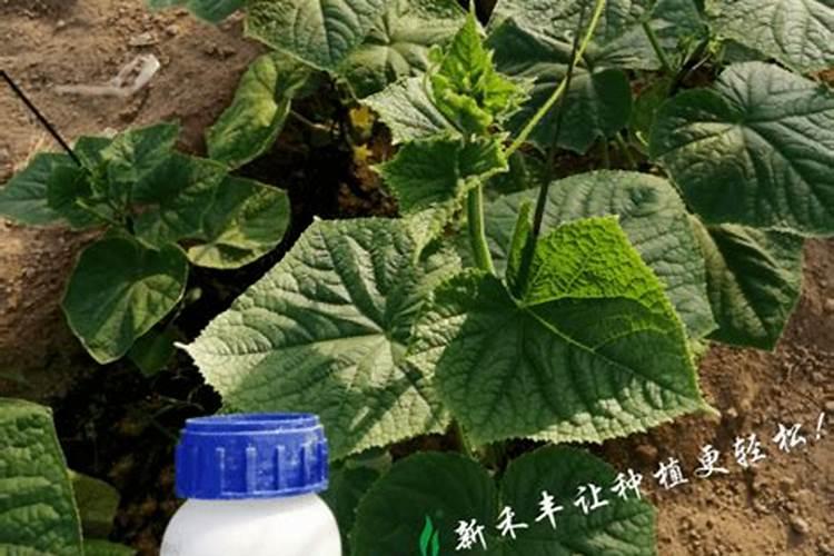 五常市穰穰满家水稻种植专业合作社怎么样？