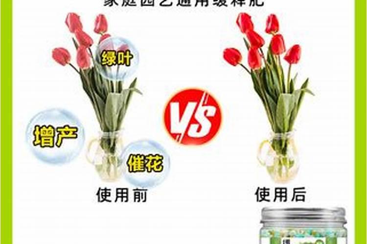 高梁穗期有什么常发生的病虫害,严重吗？怎么用药防治。