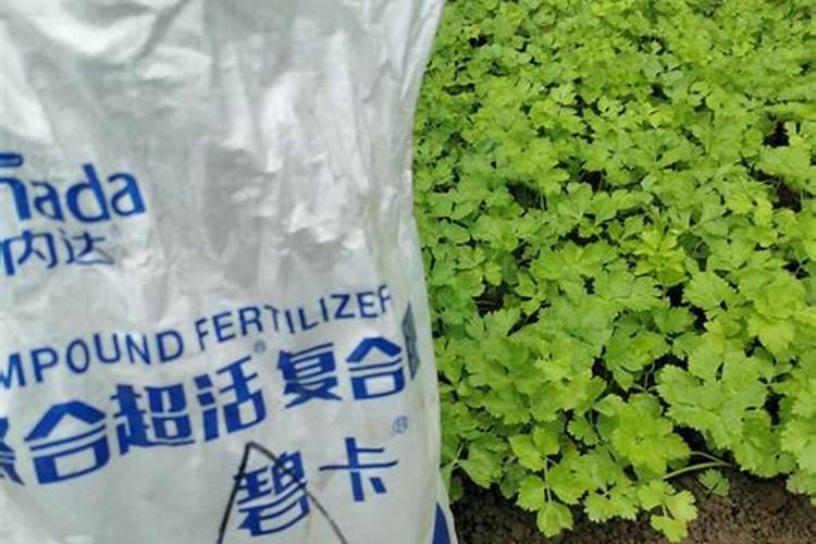 邯郸市永年区碧绿天然有机肥有限公司怎么样？
