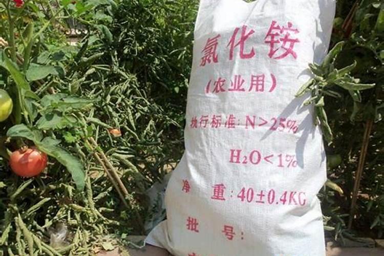 简单自制氮肥的具体方法是什么