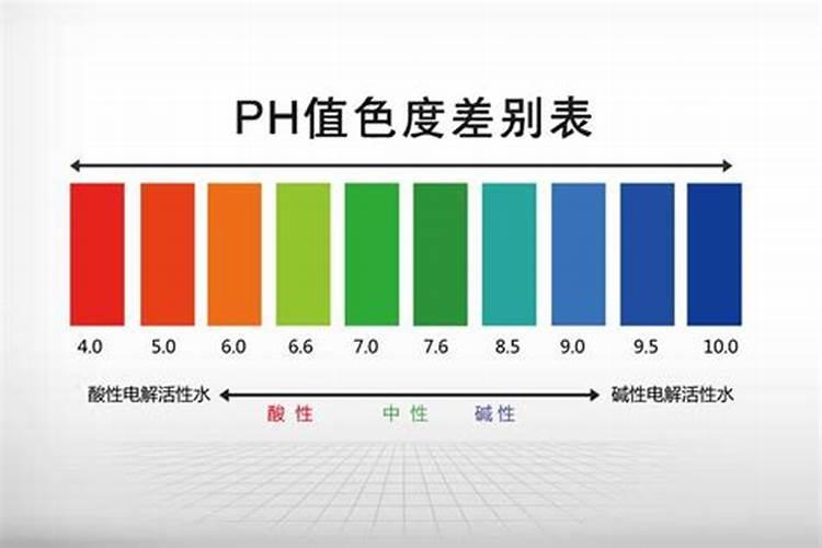 肥肉是不是碱性食物