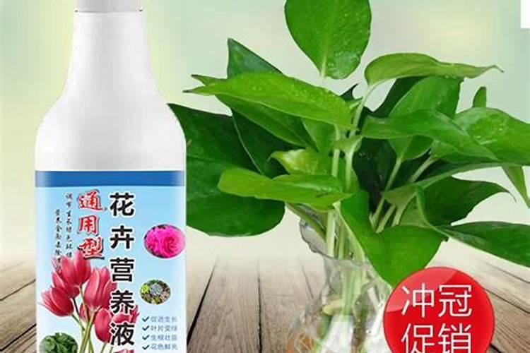 大树营养液能浇花吗？